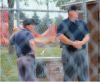 Kyle Kuhlers & Brian Strasser take a break between games at Lynnville-Sully June 20, 2005